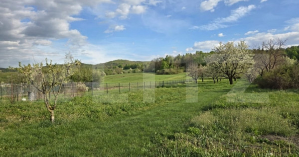 Teren intravilan, CONSTRUCTII, Florești, 3.148 mp, 2 frontu