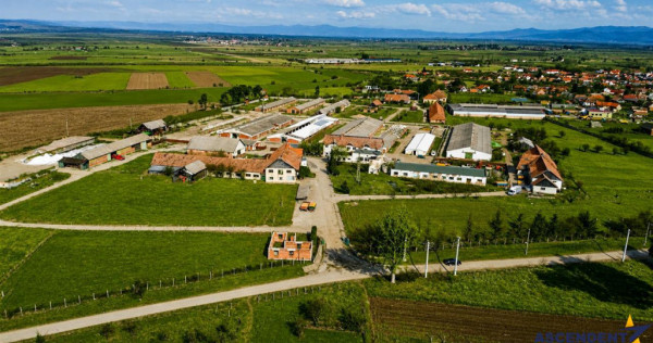 FILM! 25.400mp teren Complex agrozootehnic cu traditie, acc