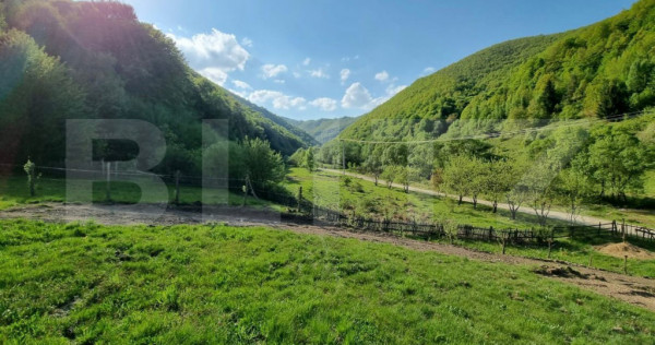 EXCLUSIVITATE! Teren extravilan, 5.400 mp, Comuna Iara, Vale