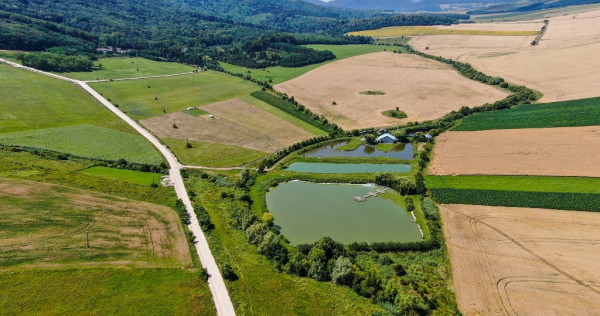 Proprietate spectaculoasă de 31.500 mp, cu iazuri și case locuibile