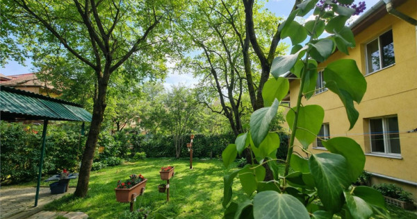 Imobil cu gradina verde, in ariere placuta, facilitati, Trac