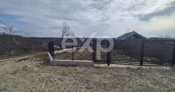 Teren 1.500 mp l&acirc;ngă pădure, Albota &ndash; liniște, natură