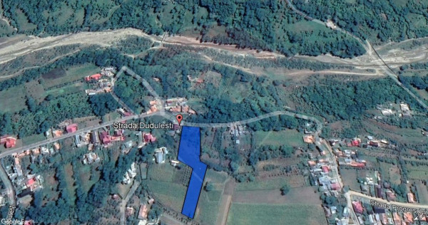 Teren intravilan 4.733 mp - Drajna de Jos, Prahova