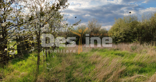 Domeniu teren si constructii, Muntenii de Sus, DN 24, Vaslui