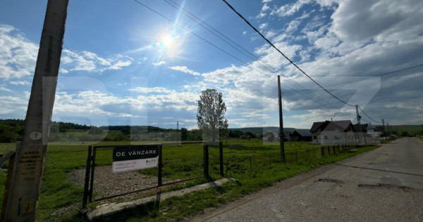 Teren intravilan 22 ari, ideal pentru locuinta/investitie in