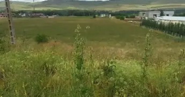 Teren intravilan Luna de sus Cluj Floresti 1440mp