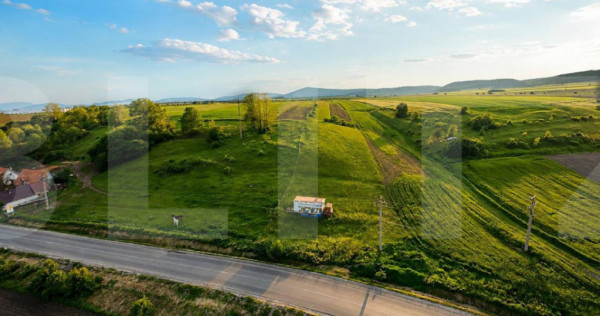 Teren extravilan de vanzare, 9000 mp - Ilieni