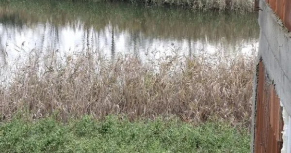 Casa Iesire Lac La 45km de Bucuresti la Prunaru!