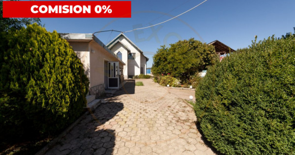 Casa visurilor cu 4000 mp livada roditoare si gradina Darman