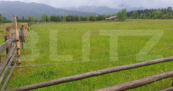 Teren extravilan, 6200 mp, zona Saru Dornei - Vatra Dornei
