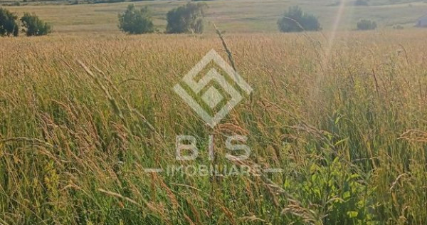 Teren 53 ari &icirc;n Galații Bistriței -10.000 euro (188/ar)