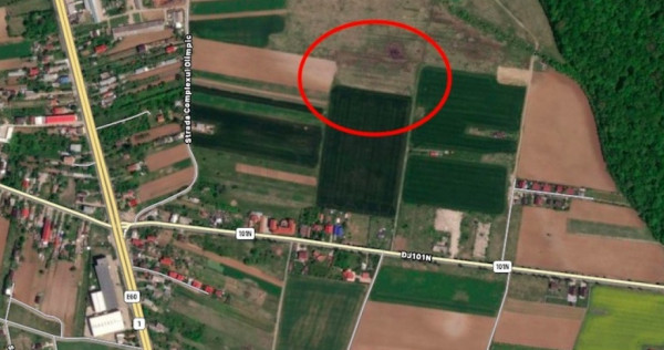 Teren Ciolpani langa padure si DN1