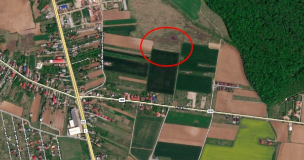 Teren Ciolpani langa padure si DN1