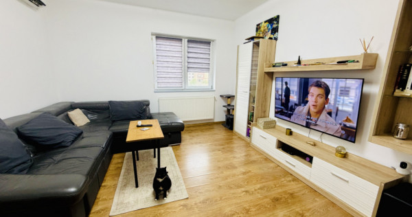 Apartament 2 camere Str Tineretului zona liniștită mobilat