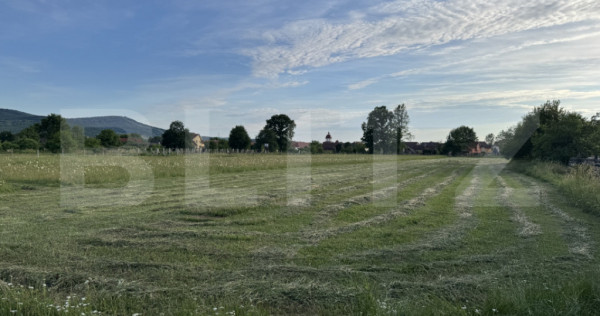 1600 mp de teren intravilan, situat &icirc;ntr-o zonă liniștit?