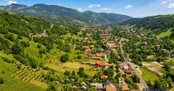 Deschidere spre crestele alpine documentatie turistica,4.40