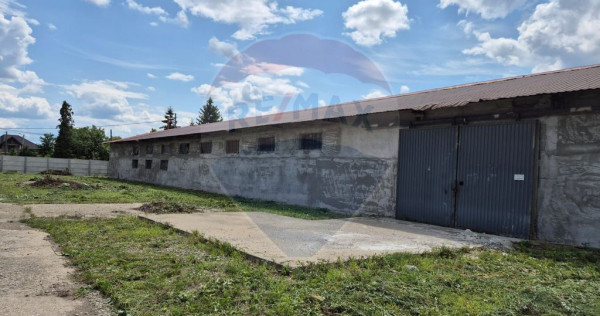 Spațiu industrial/hala de vanzare - Piatra Neamt