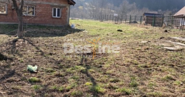 Casa cu teren Negulesti 3400mp