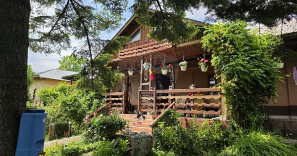 Domeniu rural, gospodarie/multifunctionala cu casa, livad...
