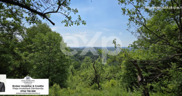 ???? OPORTUNITATE INVESTIȚIE TURISTICĂ | Panoramă de Vis