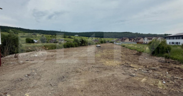 Teren de v&acirc;nzare, 4992 mp, zona Livezeni