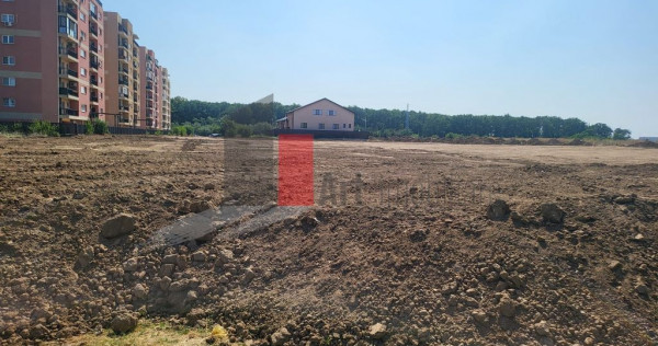 Teren Intravilan Matei Milo