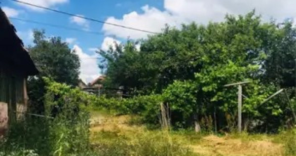 Teren de v&acirc;nzare 2900mp