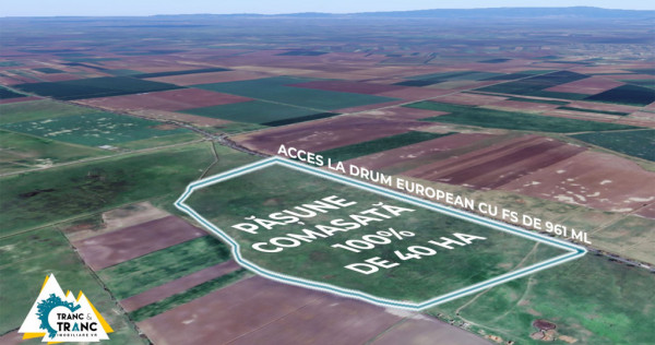 Teren PASUNE de 40ha, Comasat 100%, cu FS de 961 ml la Drumu