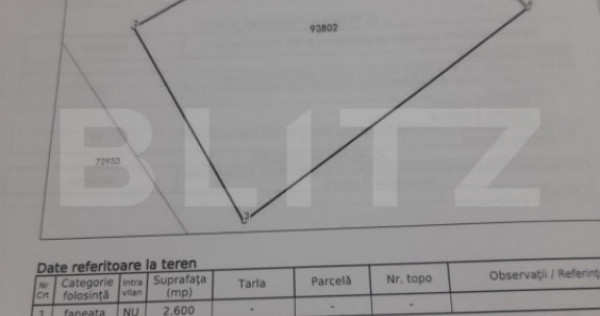Teren extravilan 2.600 mp &ndash; Viișoara