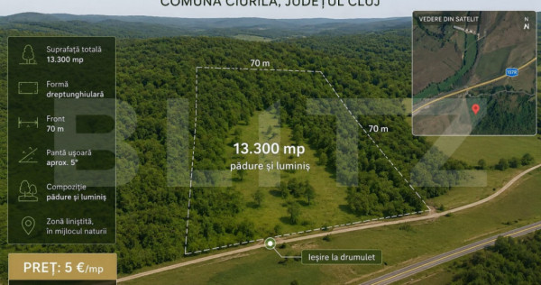 Teren extravilan, 13.300 mp &icirc;n Ciurila | Formă dreptunghiu