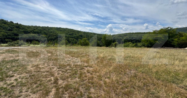 Teren intravilan de v&acirc;nzare &ndash; 592 mp, zona Pădurea Bejan