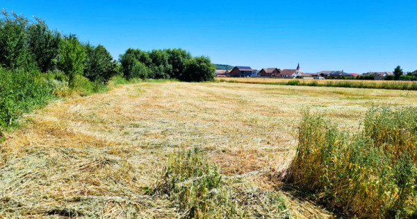 Teren de 4000 mp intravilan in Cristian