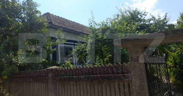 Casă renovată de v&acirc;nzare &icirc;n Sat Urzica Mare, aproape de