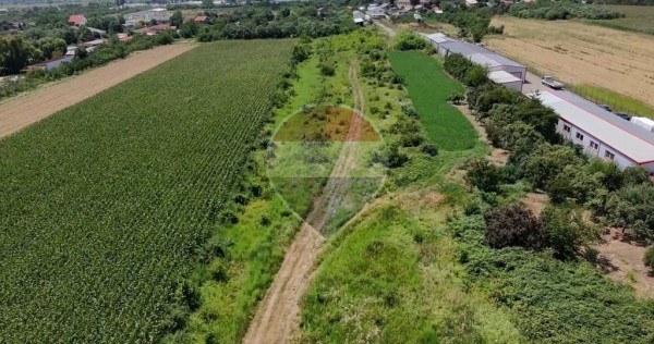 Teren intravilan 5029mp | Ploiești | Exterior Est