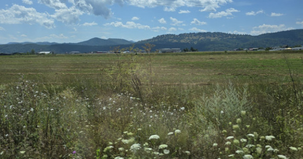 37.742 mp teren intravilan industrial &ndash; Dumbrava Roșie