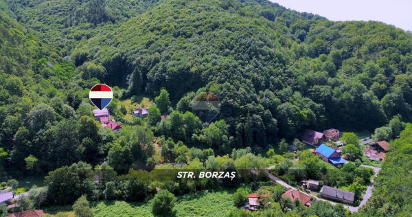 De vanzare in Baia Mare CASA SUB PADURE