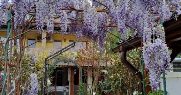 Casă P+1+M de v&acirc;nzare, 5 camere, foișor, bucătărie de v