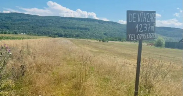 Teren intravilan