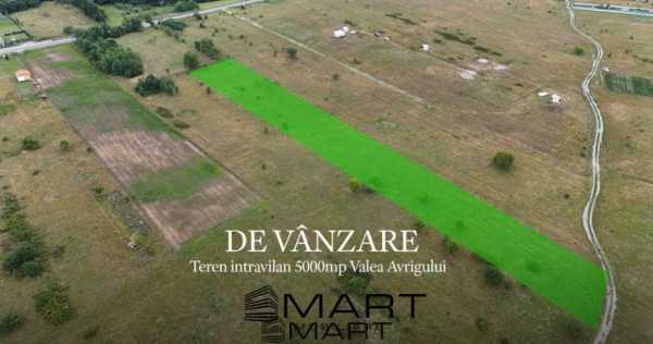 Teren intravilan 5000mp Valea Avrigului