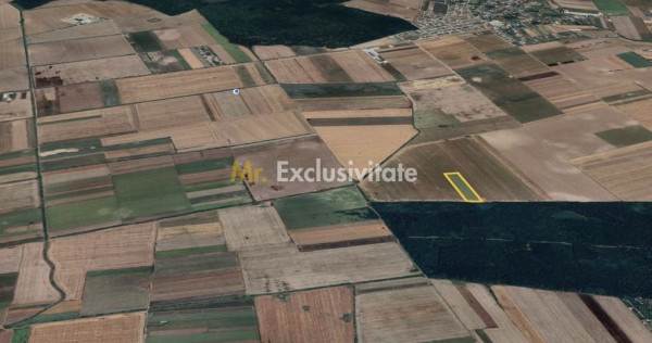 Teren mare Dascalu / Ilfov &ndash; l&acirc;ngă A0, deschidere la ...