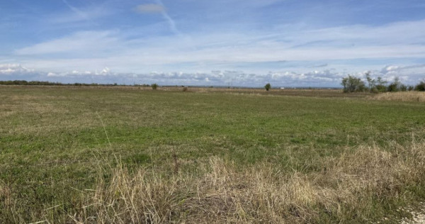 Teren intravilan 3700 mp la 28 km de Pitesti - zona linis...