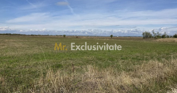 Teren intravilan 3700 mp la 28 km de Pitesti - zona linis...