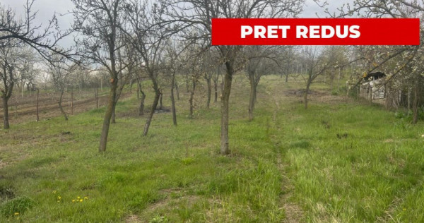 Teren intravilan 2.200 mp cu constructie existenta &ndash;Cal...