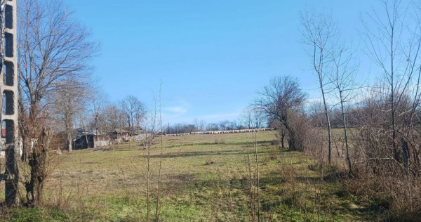 Teren intravilan 6500 mp- Gliganu de Sus - Rociu