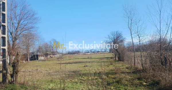 Teren intravilan 6500 mp- Gliganu de Sus - Rociu