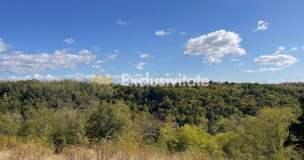 Teren Babana 5000mp intravilan