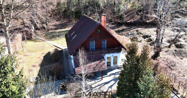 Casa de vacanta cu teren 2000mp Valea Avrigului