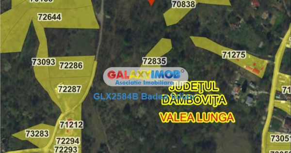 Teren intravilan 8700 m2 Valea Lunga jud Dambovita