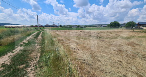 Teren Intravilan, 3600 mp, zona plata, in Jucu de Mijloc