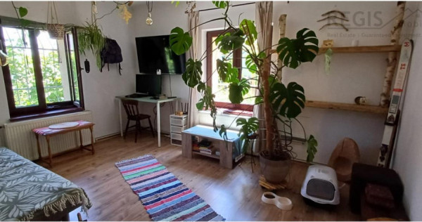 Apartament cochet,2 camere, ,cu gradina,la casa Ultracentral